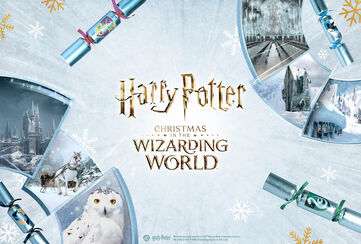 Christmas in the Wizarding World / Objevte nyní!