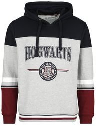 Hogwarts - Made in England, Harry Potter, Mikina s kapucí