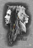 Profiles, Bob Marley, Vlajka