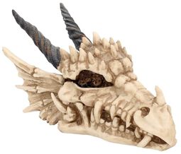 Krabička Dragon Skull, Nemesis Now, Dekorační Předměty