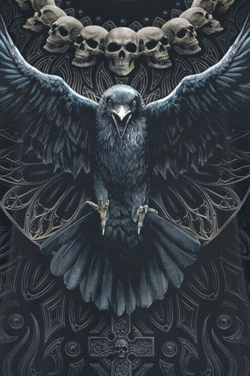 Raven Skull | Spiral TriÄ ko | EMP