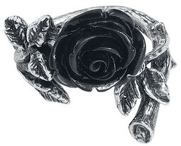 Prsten Wild Black Rose, Alchemy Gothic, Prsten