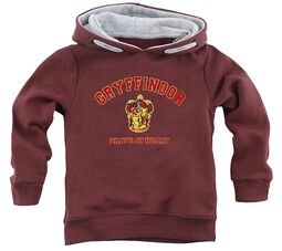 Kids - Gryffindor - Brave At Heart, Harry Potter, Mikina s kapucí